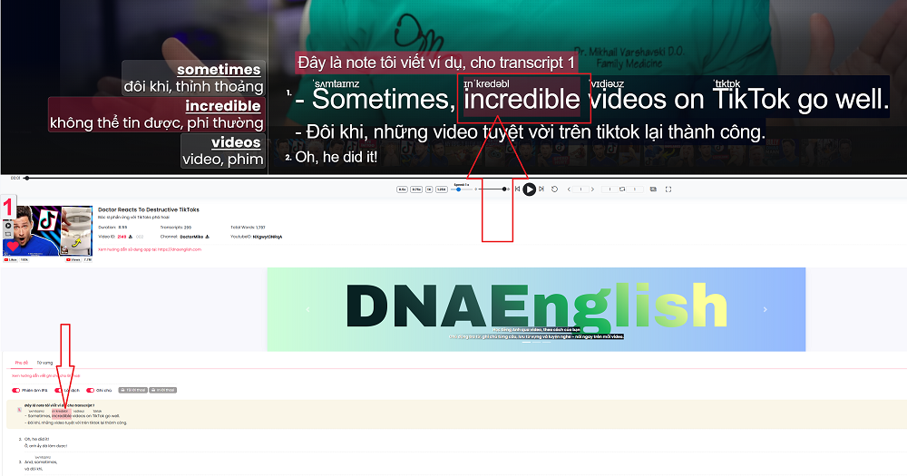 Cách học từ vựng và chia sẻ danh sách từ vựng