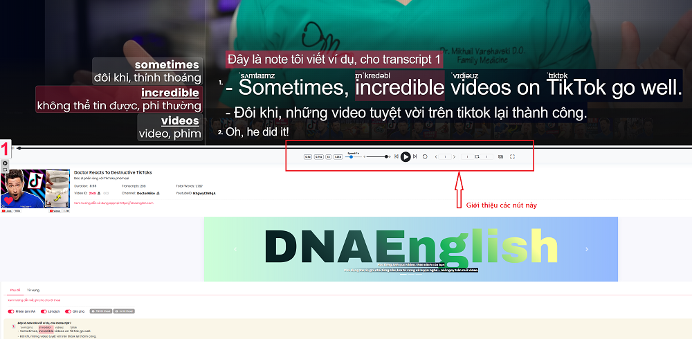 Cách sử dụng các tính năng cơ bản trong Video Player – DNAEnglish
